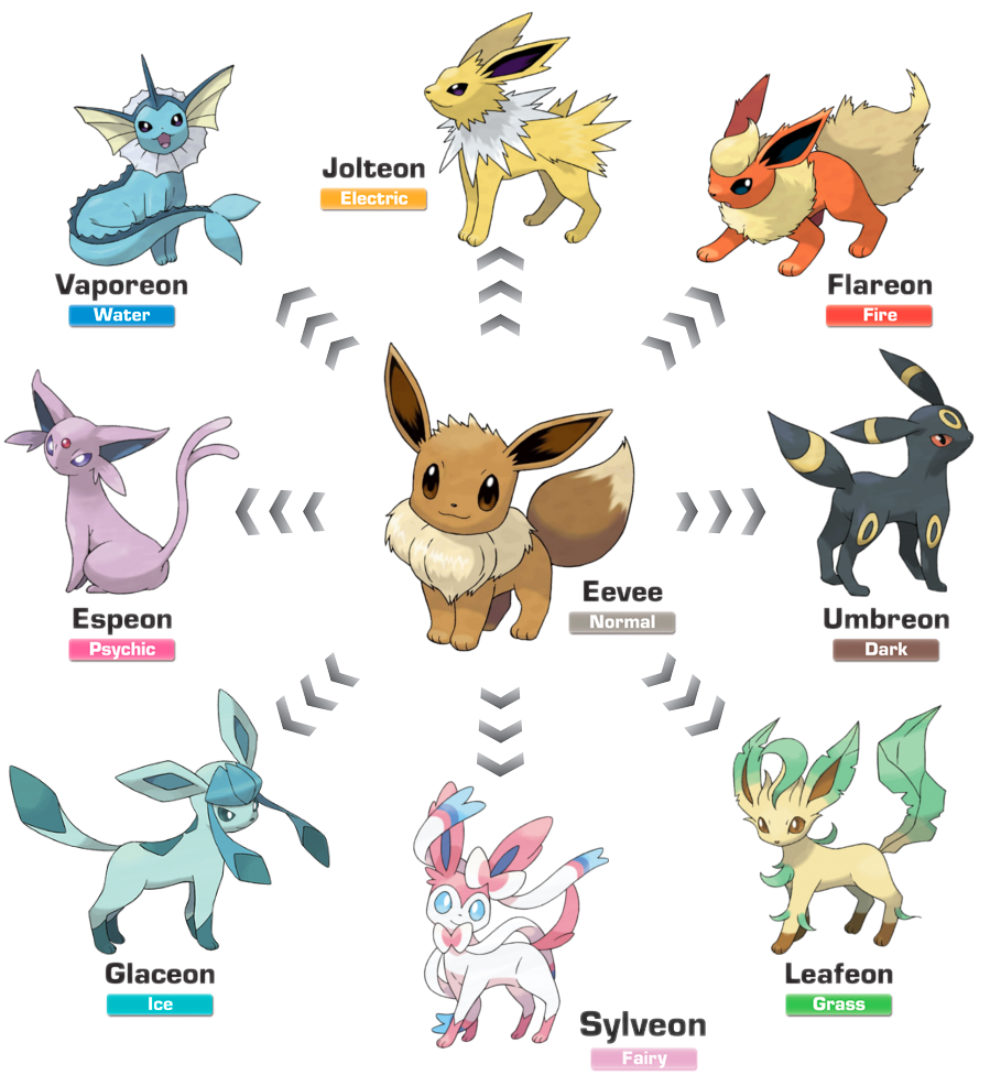 image of eeveelutions with eevee in the middle and the different evolutions with names and types around the eevee